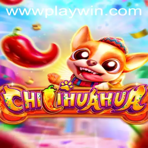 Unveiling the Excitement of CHILIHUAHUA: A Comprehensive Guide to PLAYWIN