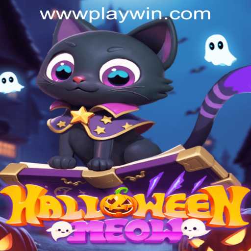 HalloweenMeow: Dive into the Bewitching World of Purrfect Fun